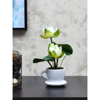 7a-lotus plant-8438727-90517.webp